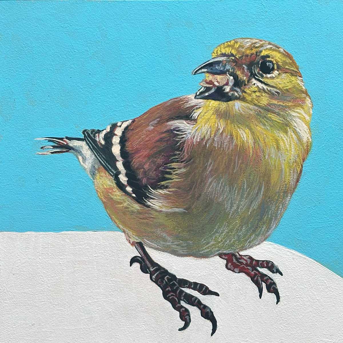 Goldfinch # 4 by Paige Wallis, Image 1.