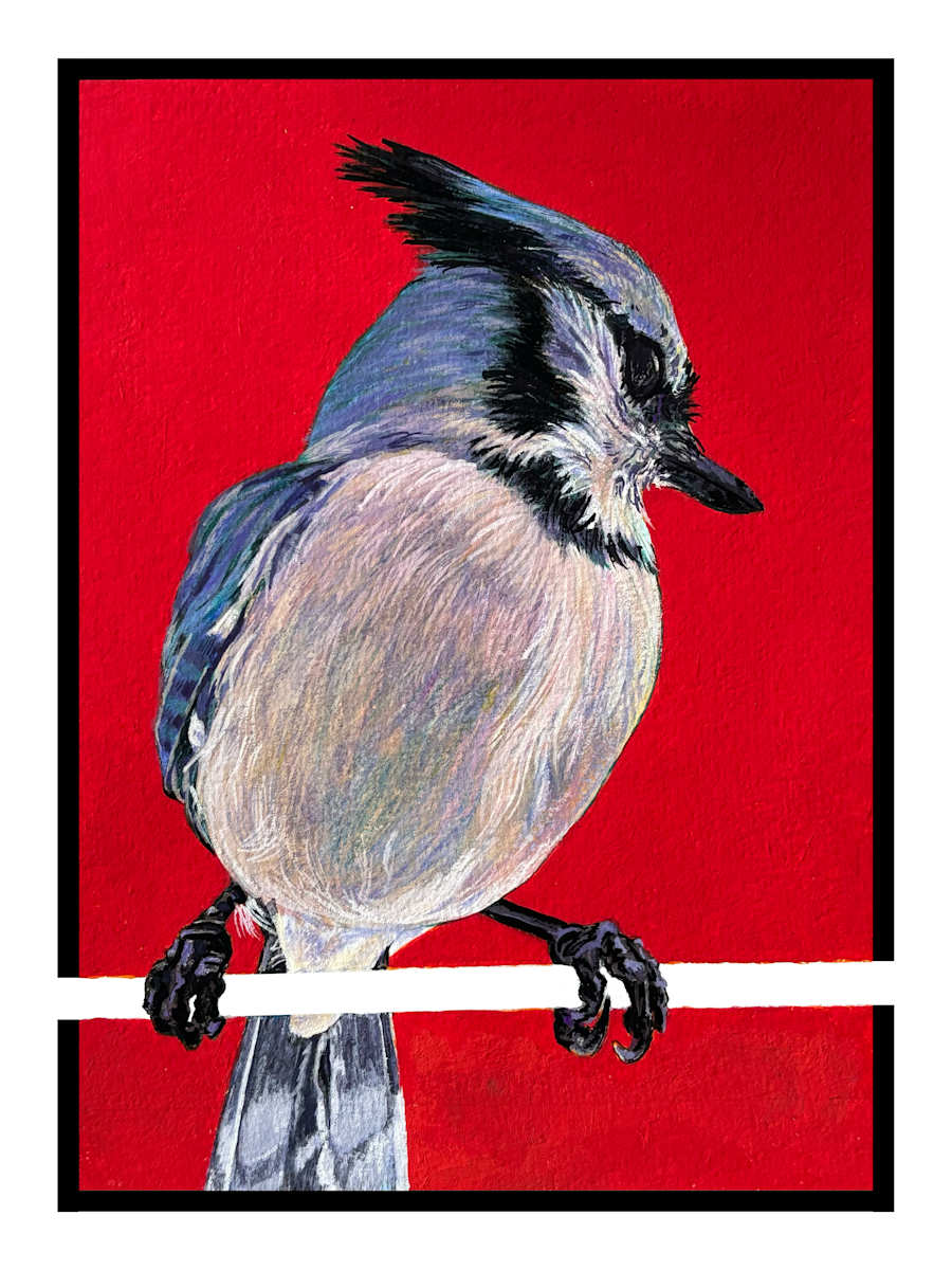 Bluejay #1 by Paige Wallis 