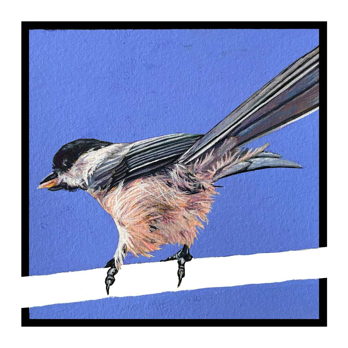 Chickadee #2 by Paige Wallis 