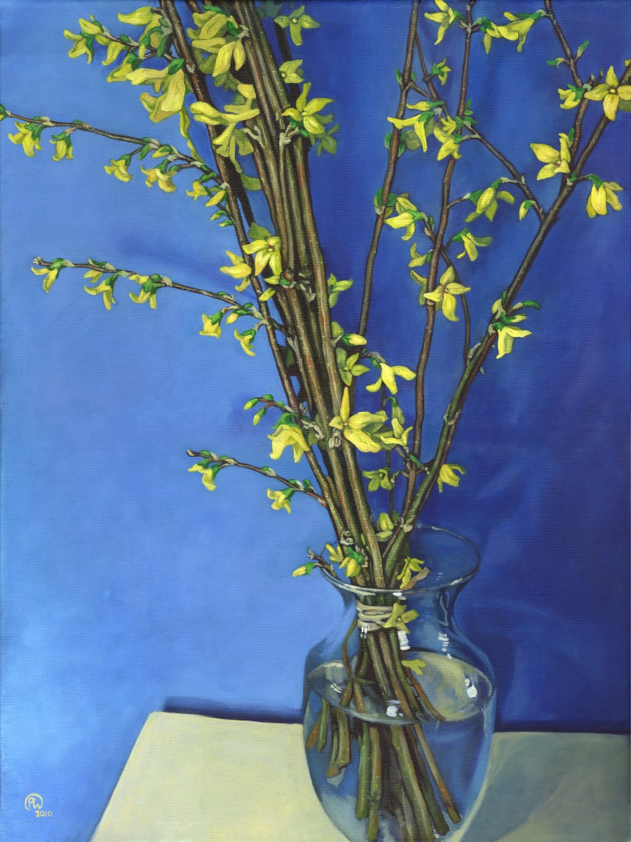 Forsythia by Paige Wallis 