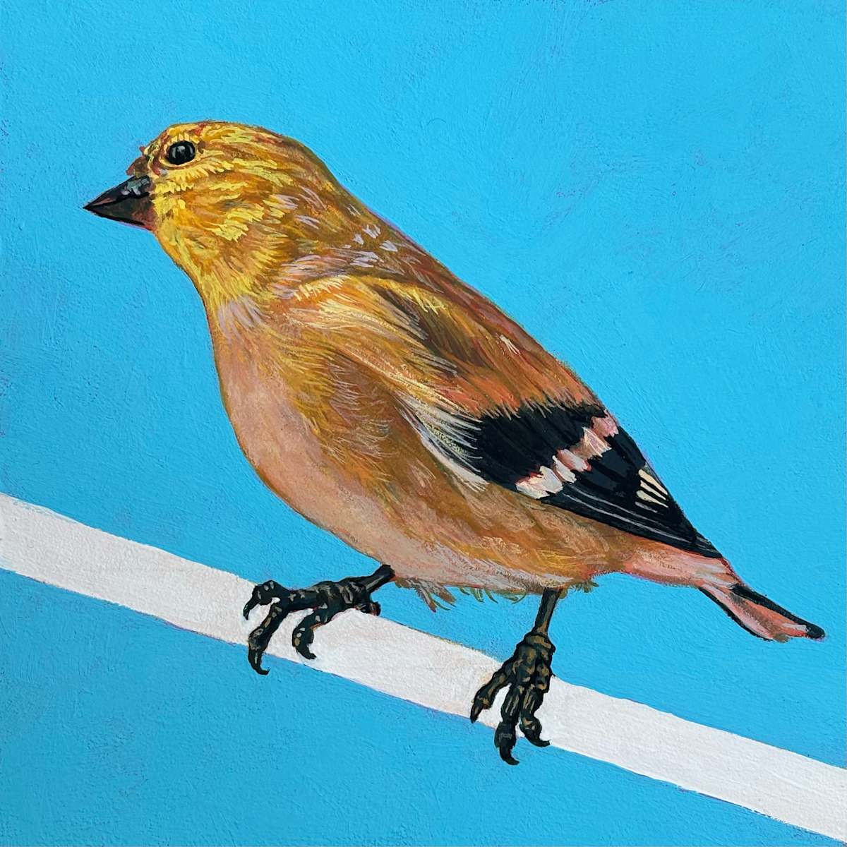 Goldfinch #3 by Paige Wallis, Image 1.