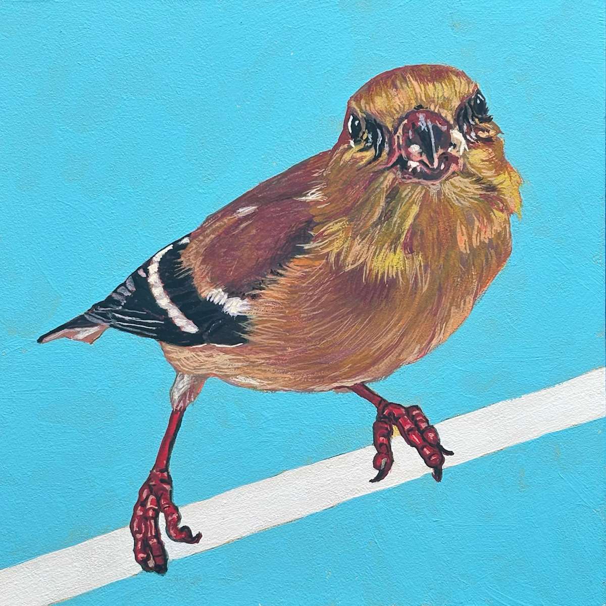 Goldfinch # 5 by Paige Wallis, Image 3.