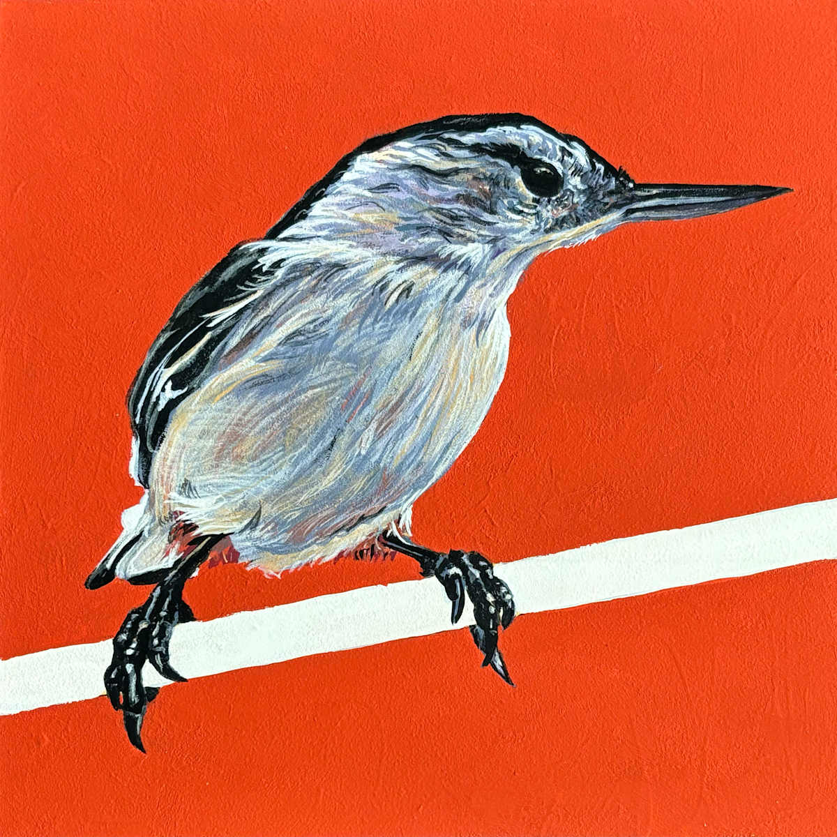 Nuthatch #3 by Paige Wallis, Image 1.