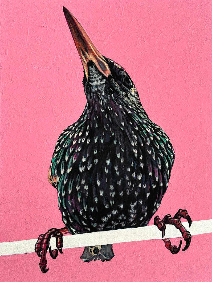 Starling #3 by Paige Wallis, Image 1.