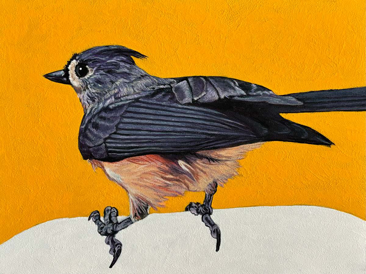 Titmouse #2 by Paige Wallis, Image 1.