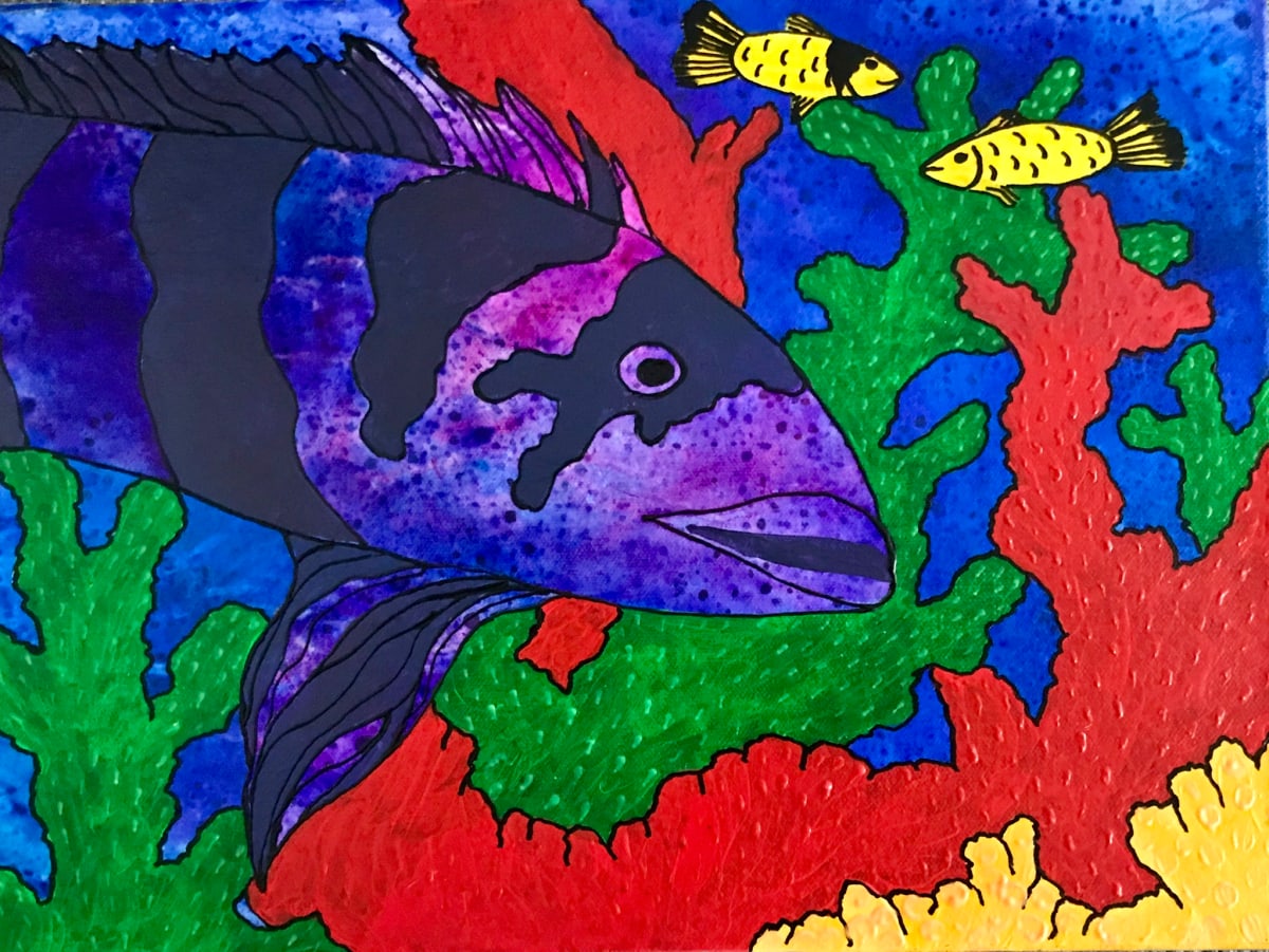 Grouper Tales 