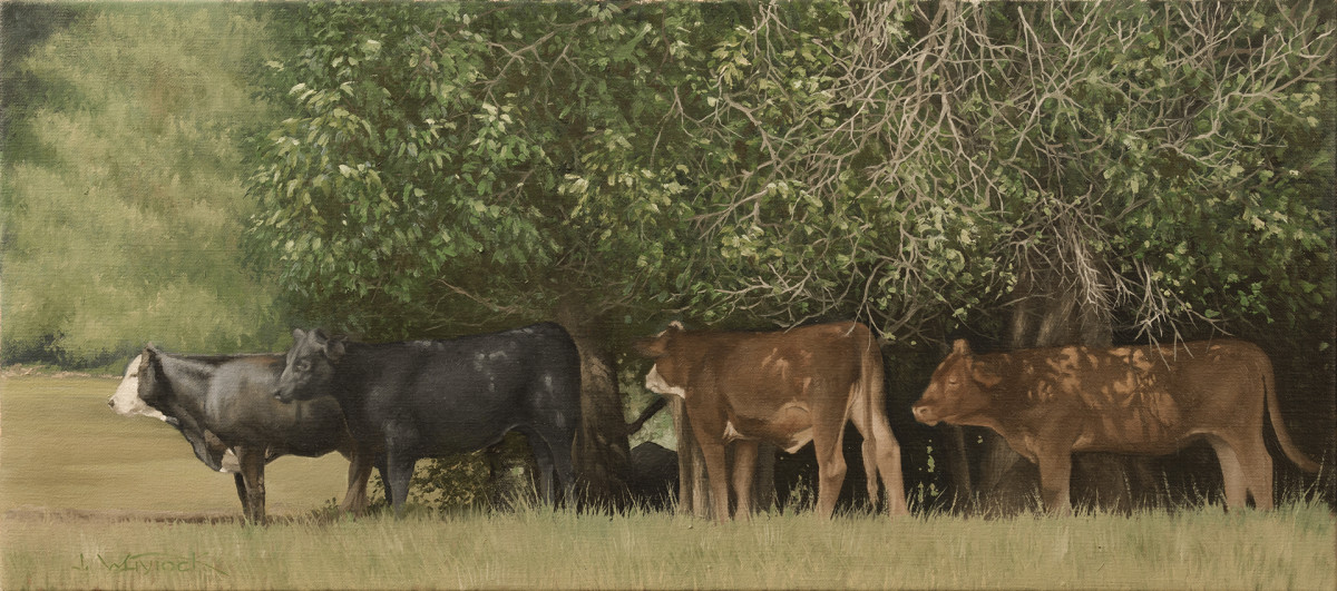 90 in the Shade by John Whytock - Oak Rose Studio 