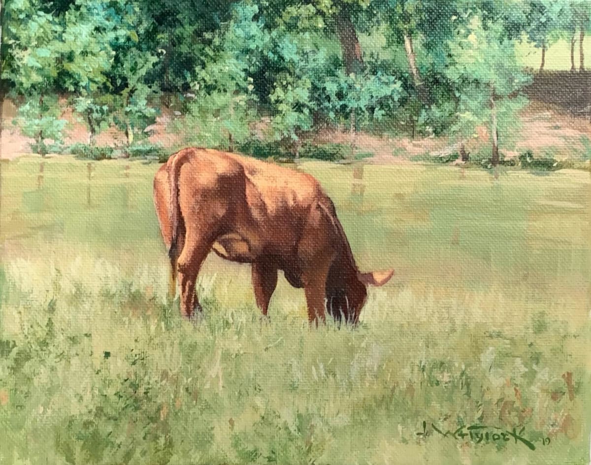 Out to Pasture 