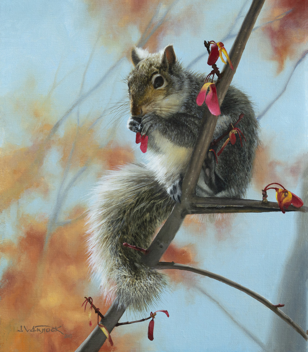 Whirligigs for Breakfast by John Whytock - Oak Rose Studio 