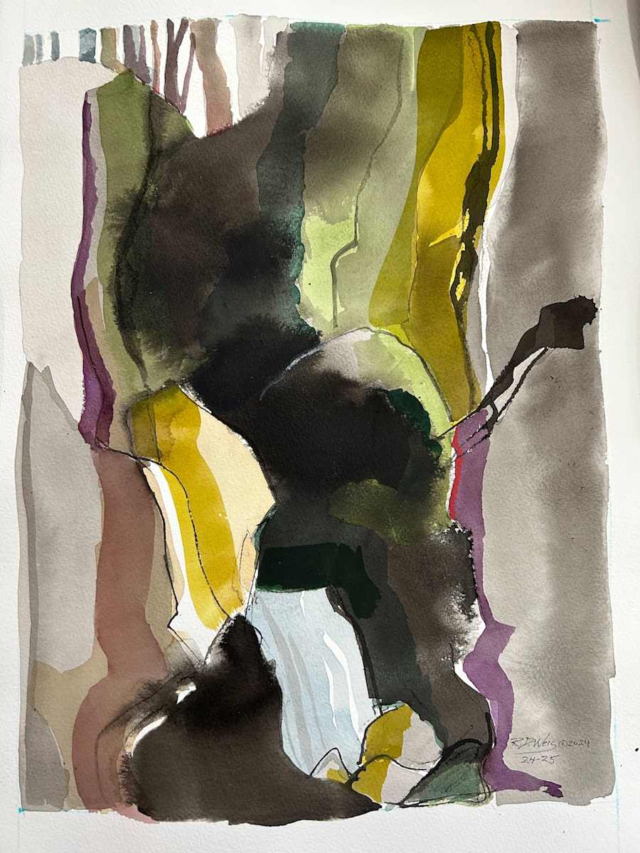 Brittain Falls by Richard D. Weis 