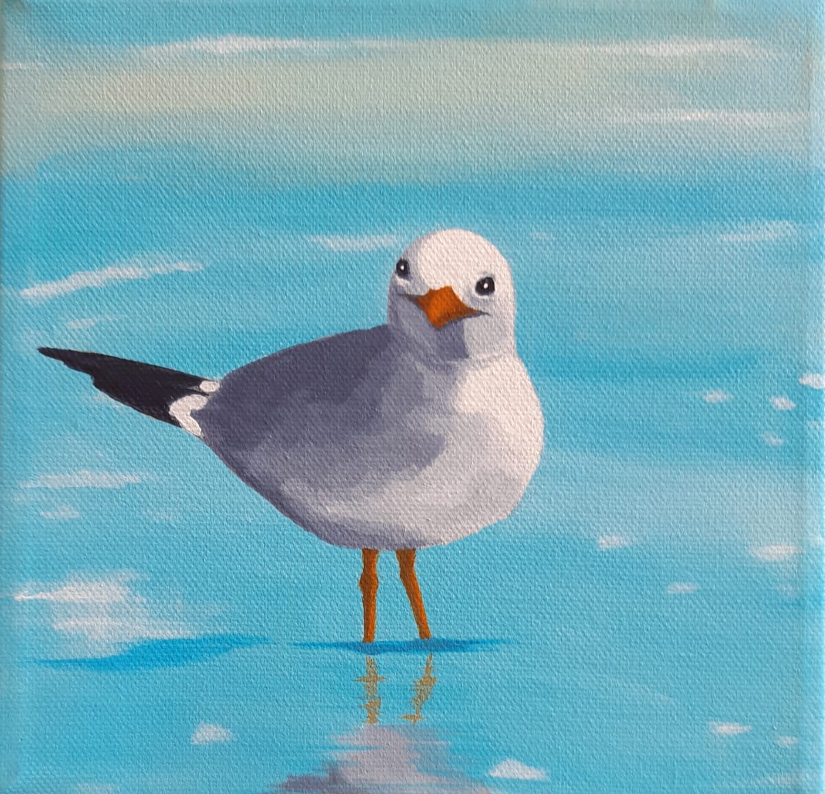 Seagull On The Shore by Jane Thuss  Image: A seagull standing in the blue water of the shoreline.