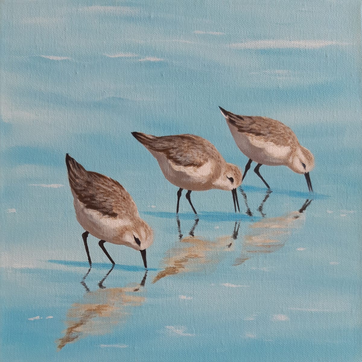 Shore Birds by Jane Thuss  Image: Sanderlings see their reflections as they search for food along the shore line. 