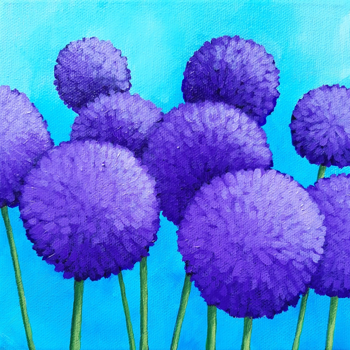 Alliums by Jane Thuss 