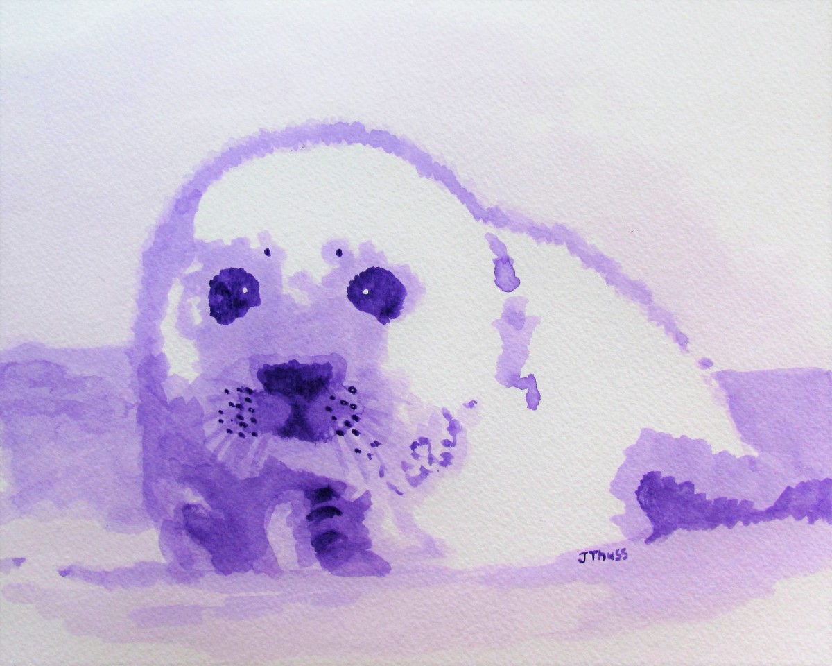 Baby Seal by Jane Thuss 