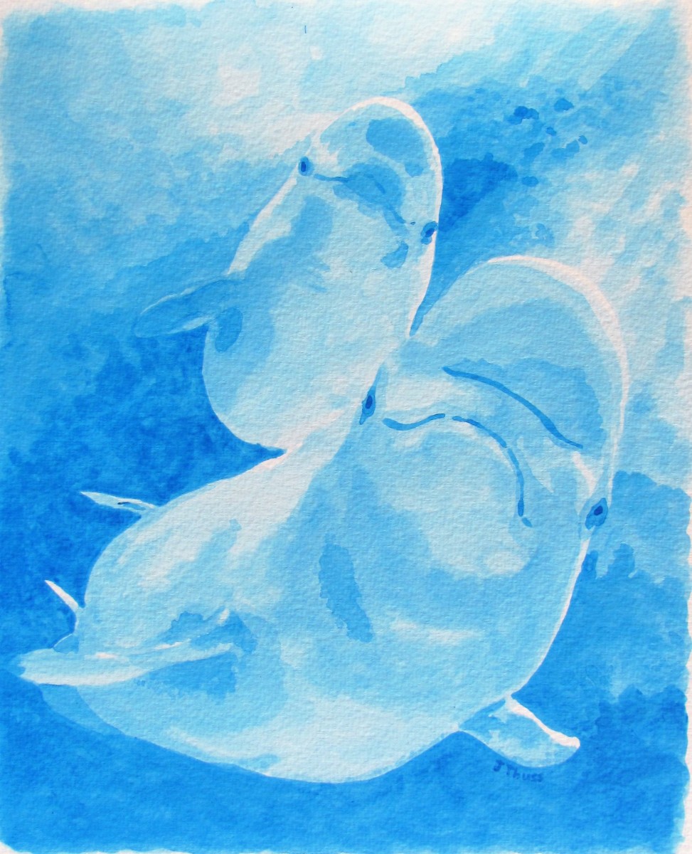 Beluga Whales - Mother and Baby by Jane Thuss 