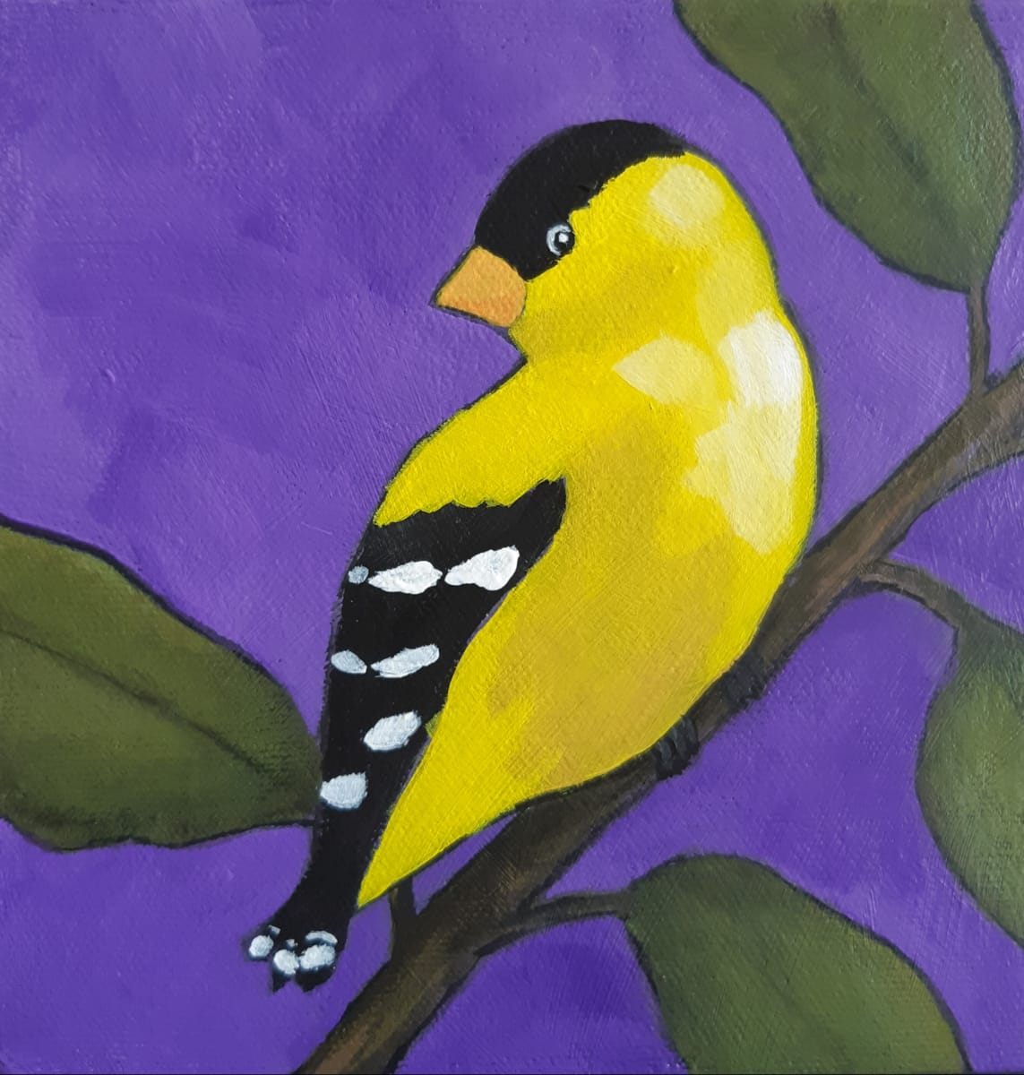 Bird of Yellow  Image: A pretty yellow finch.
