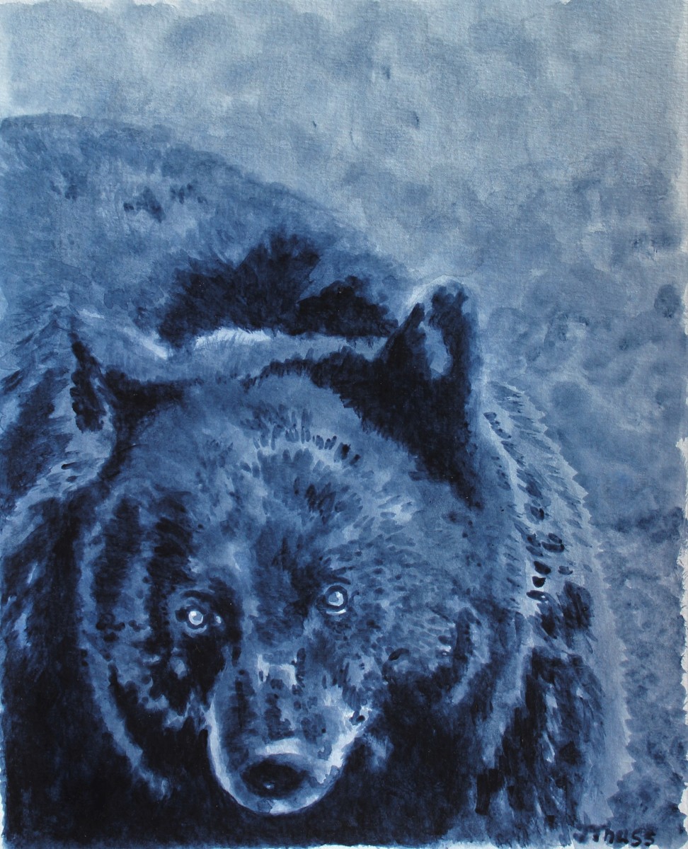 Black Bear Close-up by Jane Thuss 