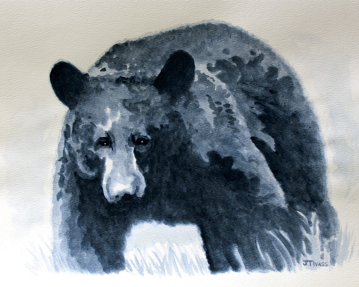 Black Bear by Jane Thuss 