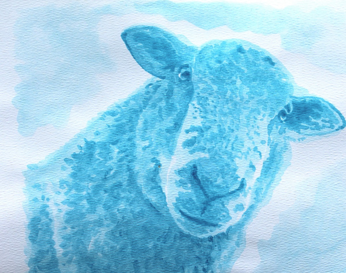 Blue Sheep by Jane Thuss 