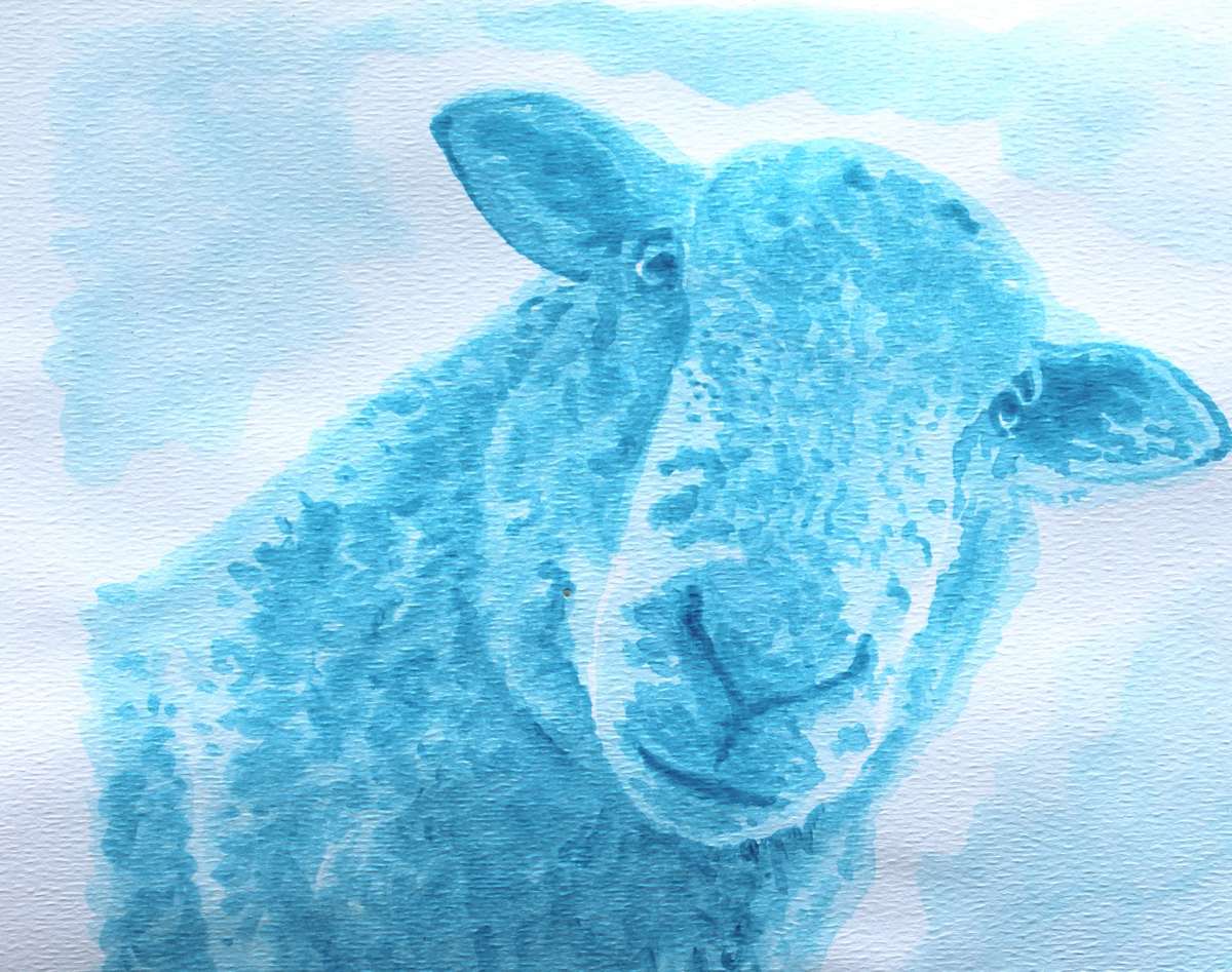 Blue Sheep by Jane Thuss, Image 1.