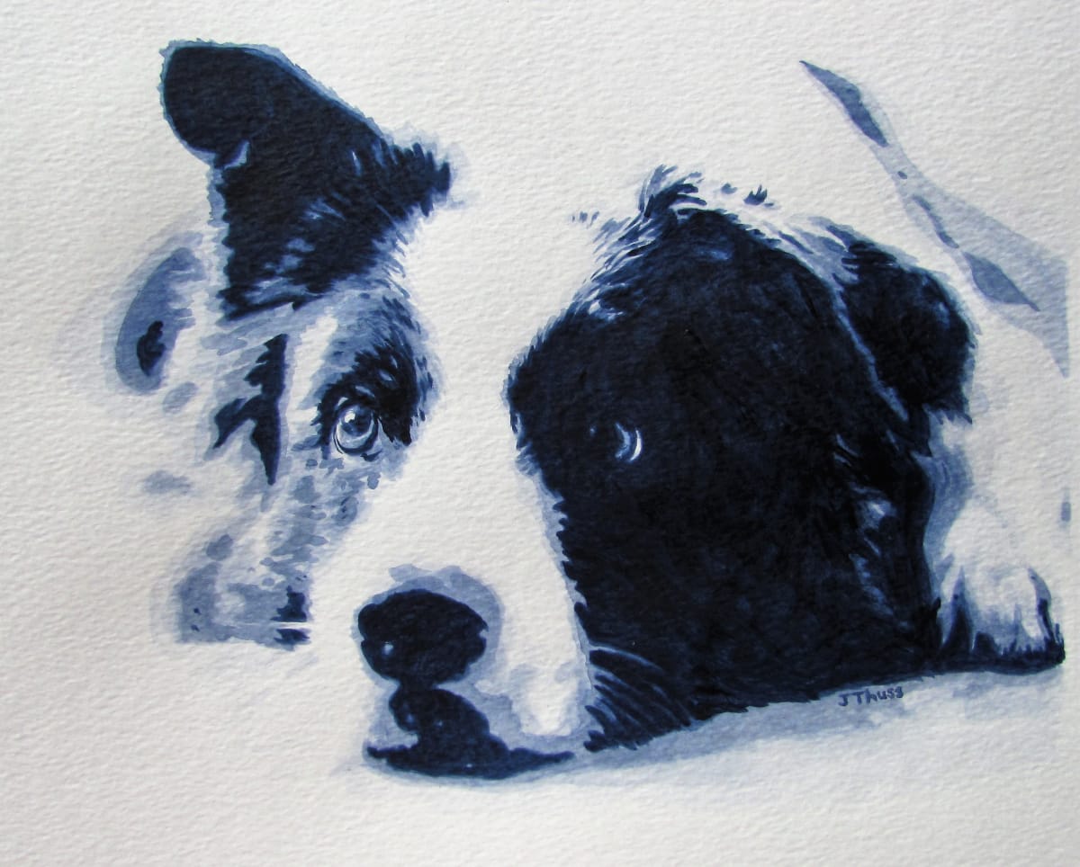 Border Collie by Jane Thuss, Image 1.