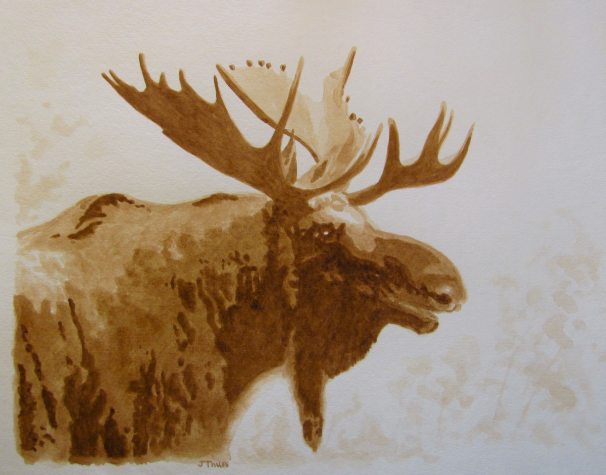 Brown Moose by Jane Thuss 