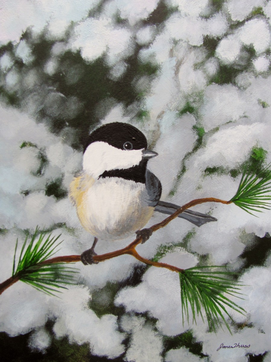 Chickadee in the Snow by Jane Thuss 