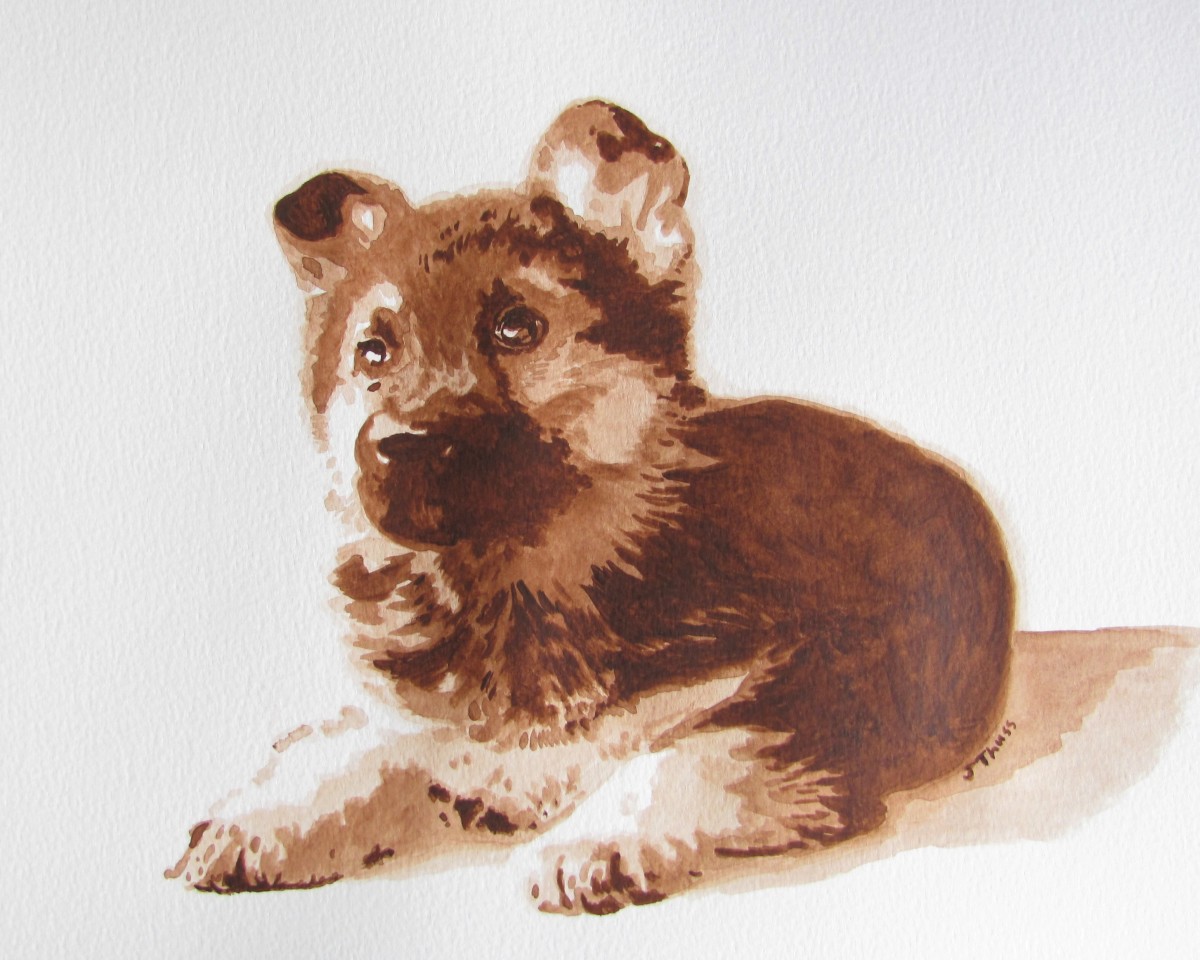 German Shepherd Puppy by Jane Thuss 