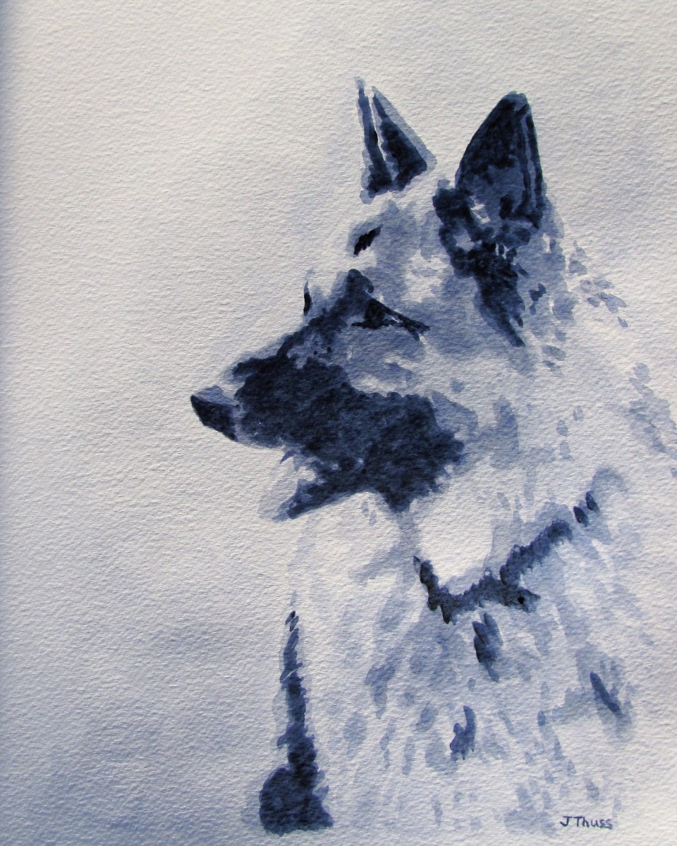 German Shepherd - Black & White by Jane Thuss 