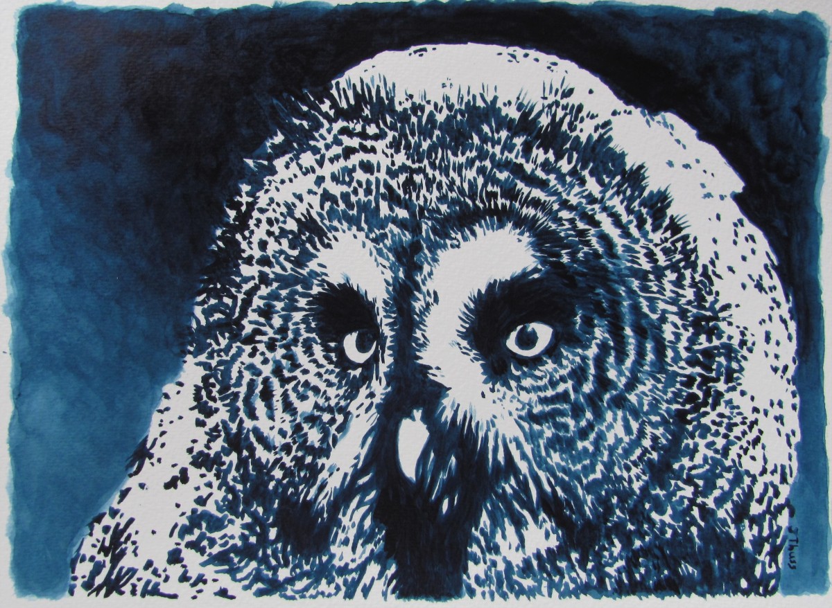 Great Grey Owl by Jane Thuss 