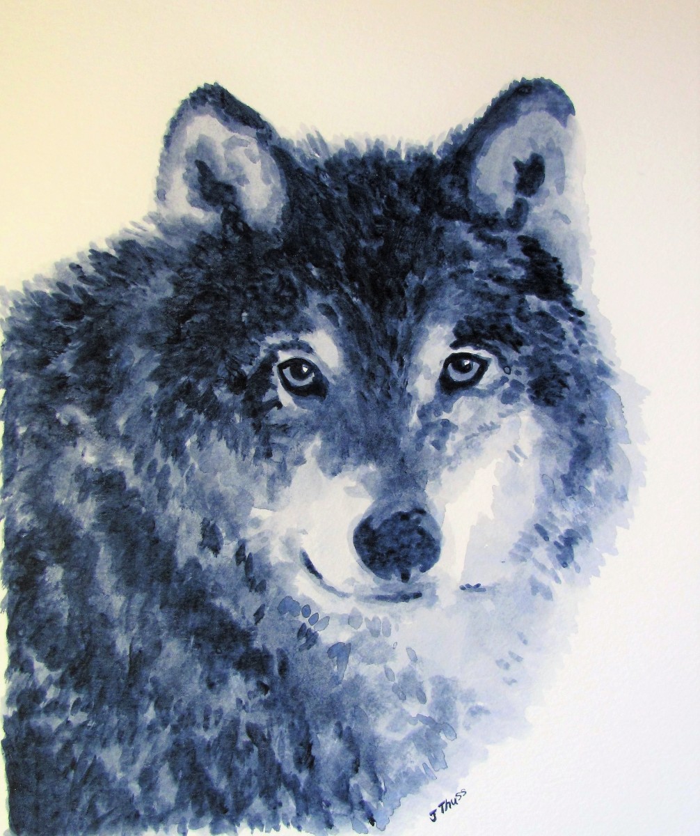 Grey Wolf by Jane Thuss 