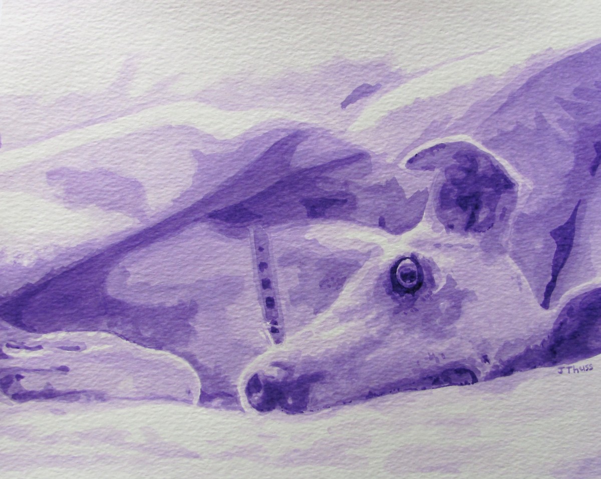 Greyhound by Jane Thuss 