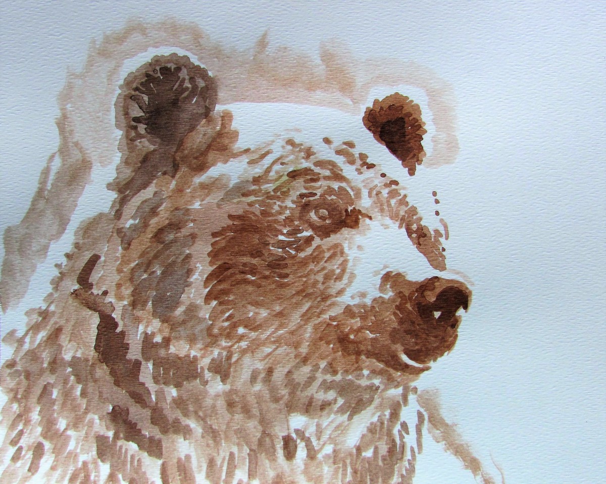 Grizzly Bear by Jane Thuss 