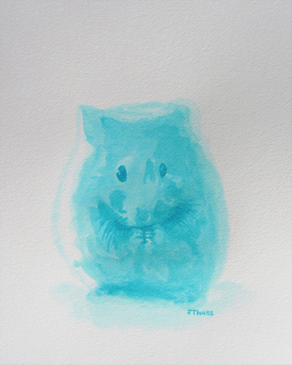 Hammie the Hamster by Jane Thuss 