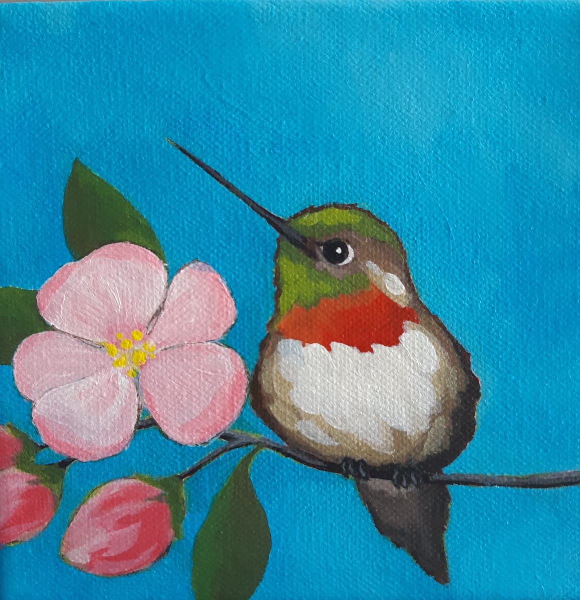 Hummer by Jane Thuss  Image: A cute hummingbird perched beside the apple blossoms.