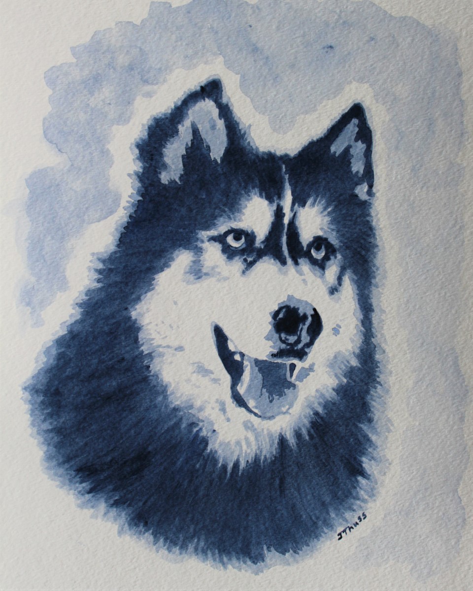 Husky by Jane Thuss 