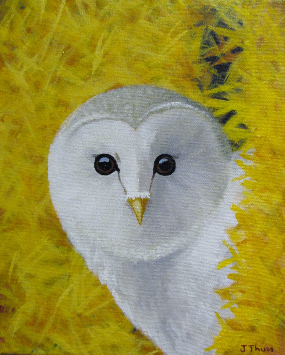 Barn Owl by Jane Thuss 