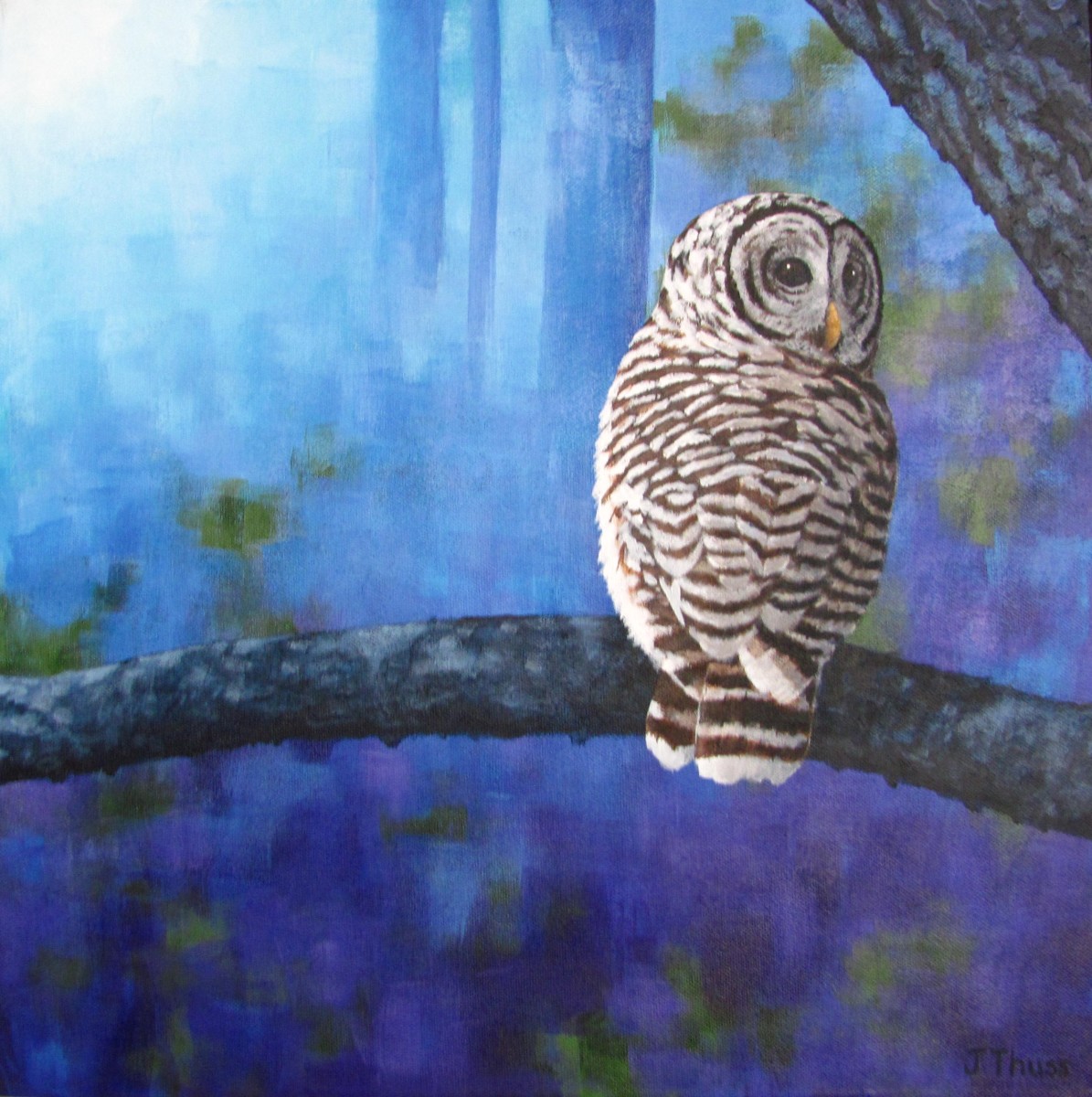 Barred Owl in the Twilight by Jane Thuss 