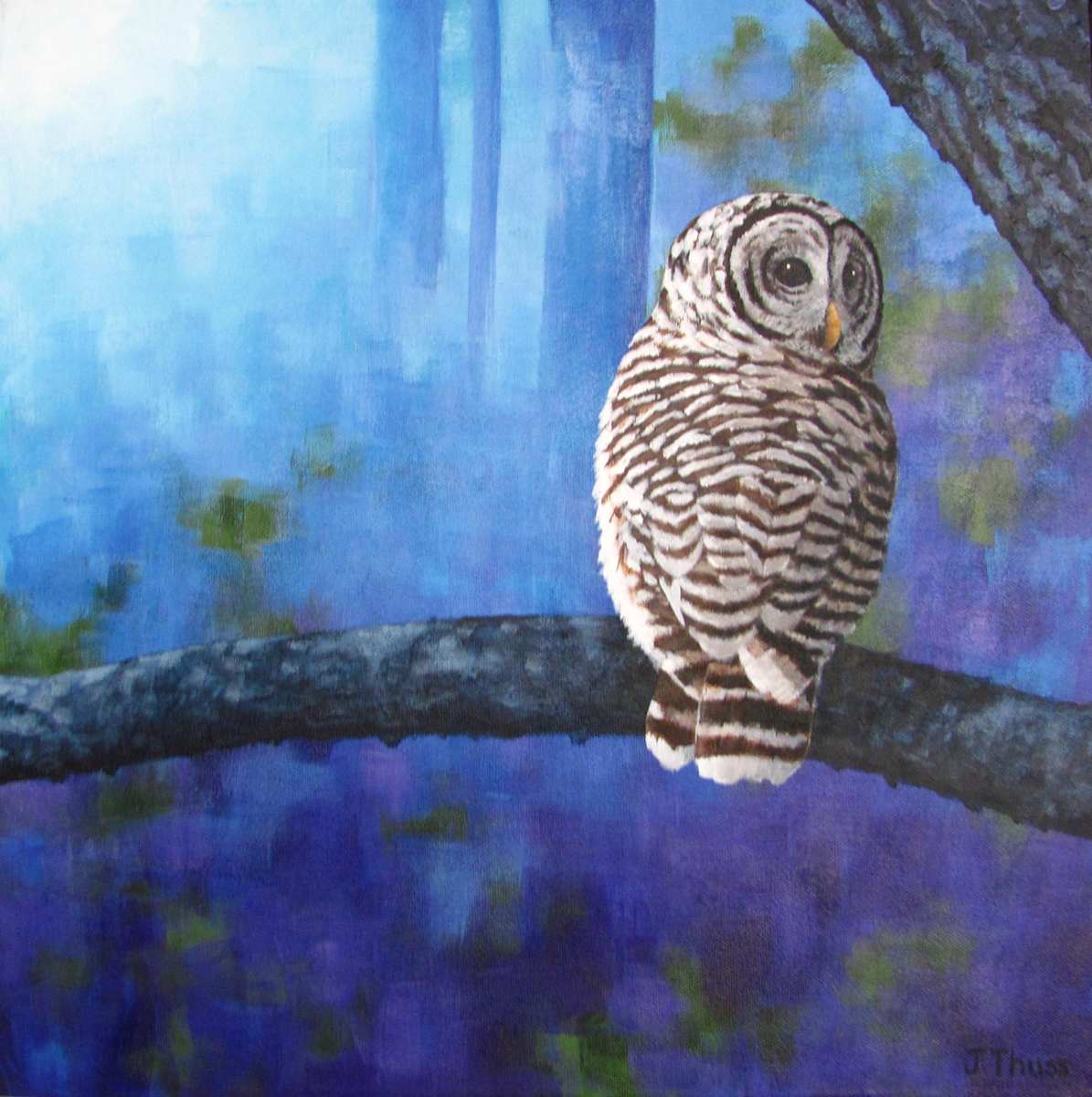 Barred Owl in the Twilight by Jane Thuss, Image 1.