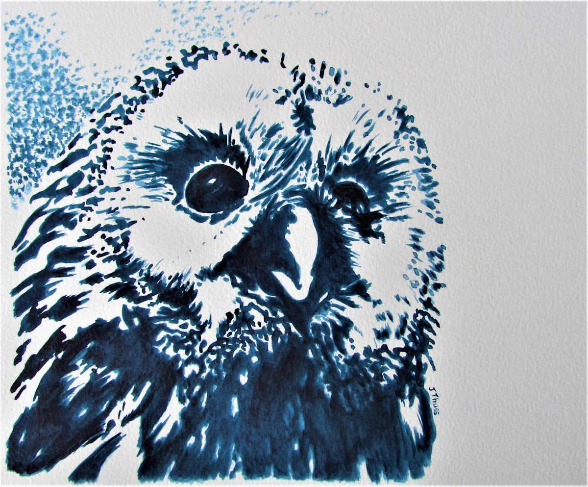Indigo Owl by Jane Thuss, Image 1.