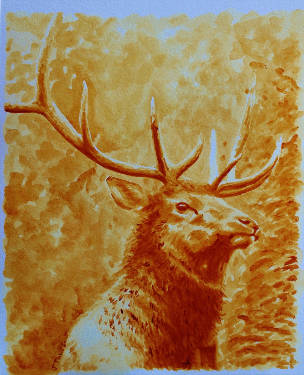 Majestic  Elk by Jane Thuss 