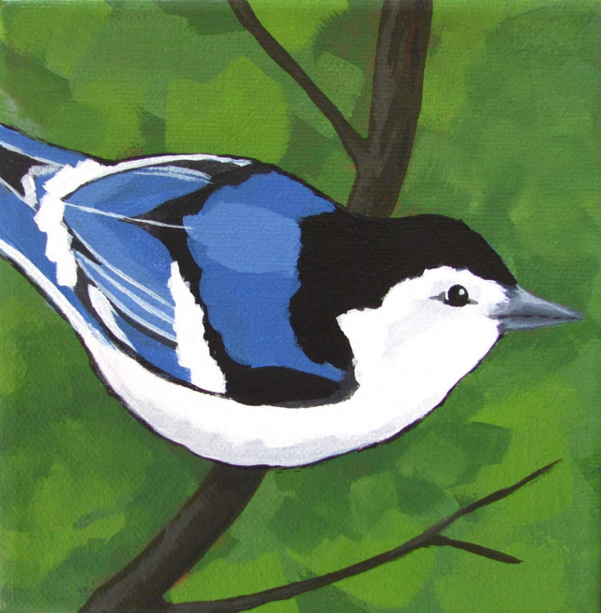 Nuthatch by Jane Thuss, Image 1.