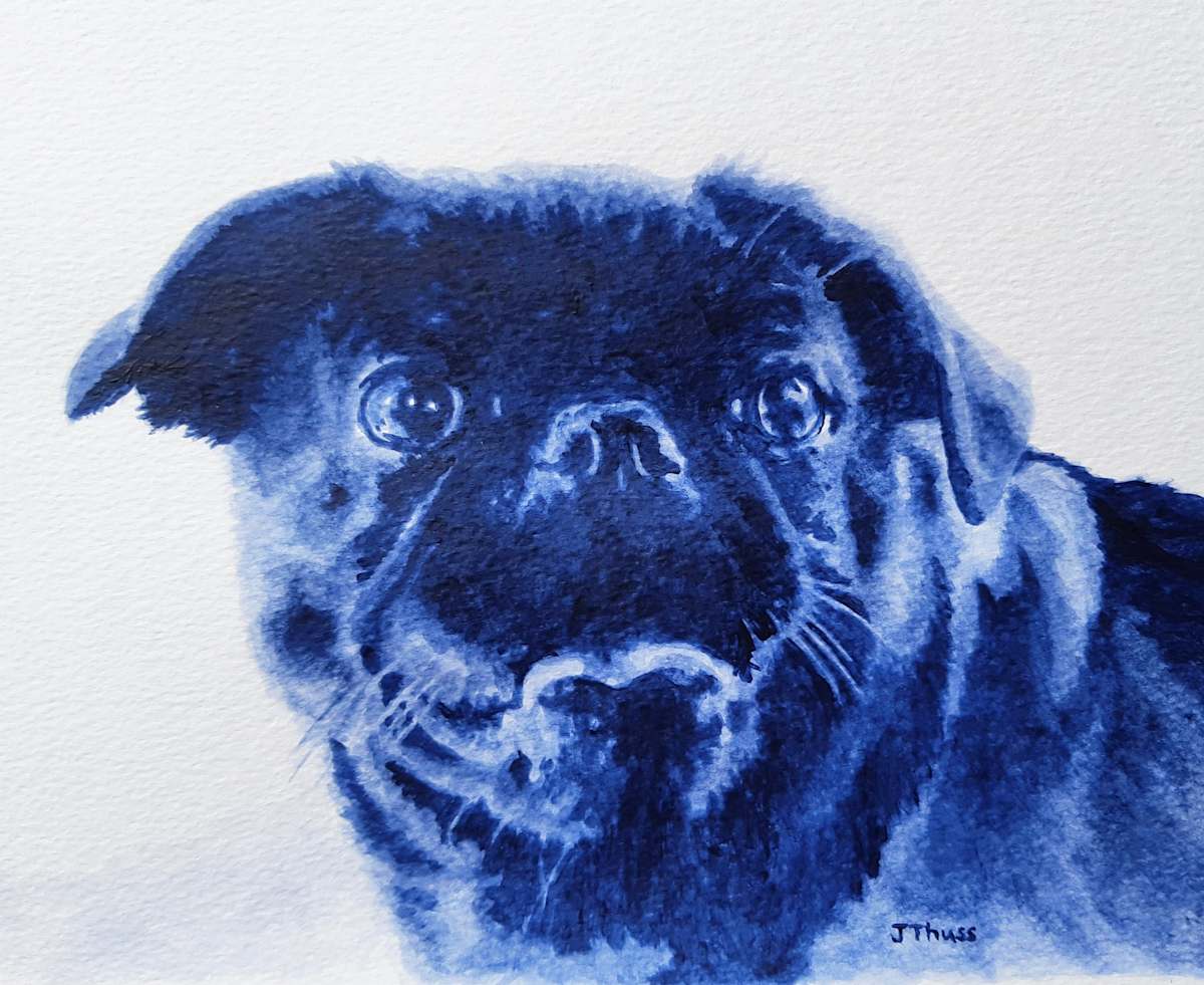 Oliver, Image 1.