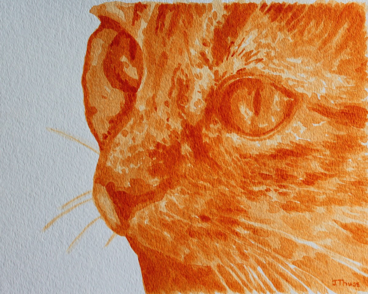 Orange Tabby Cat by Jane Thuss 