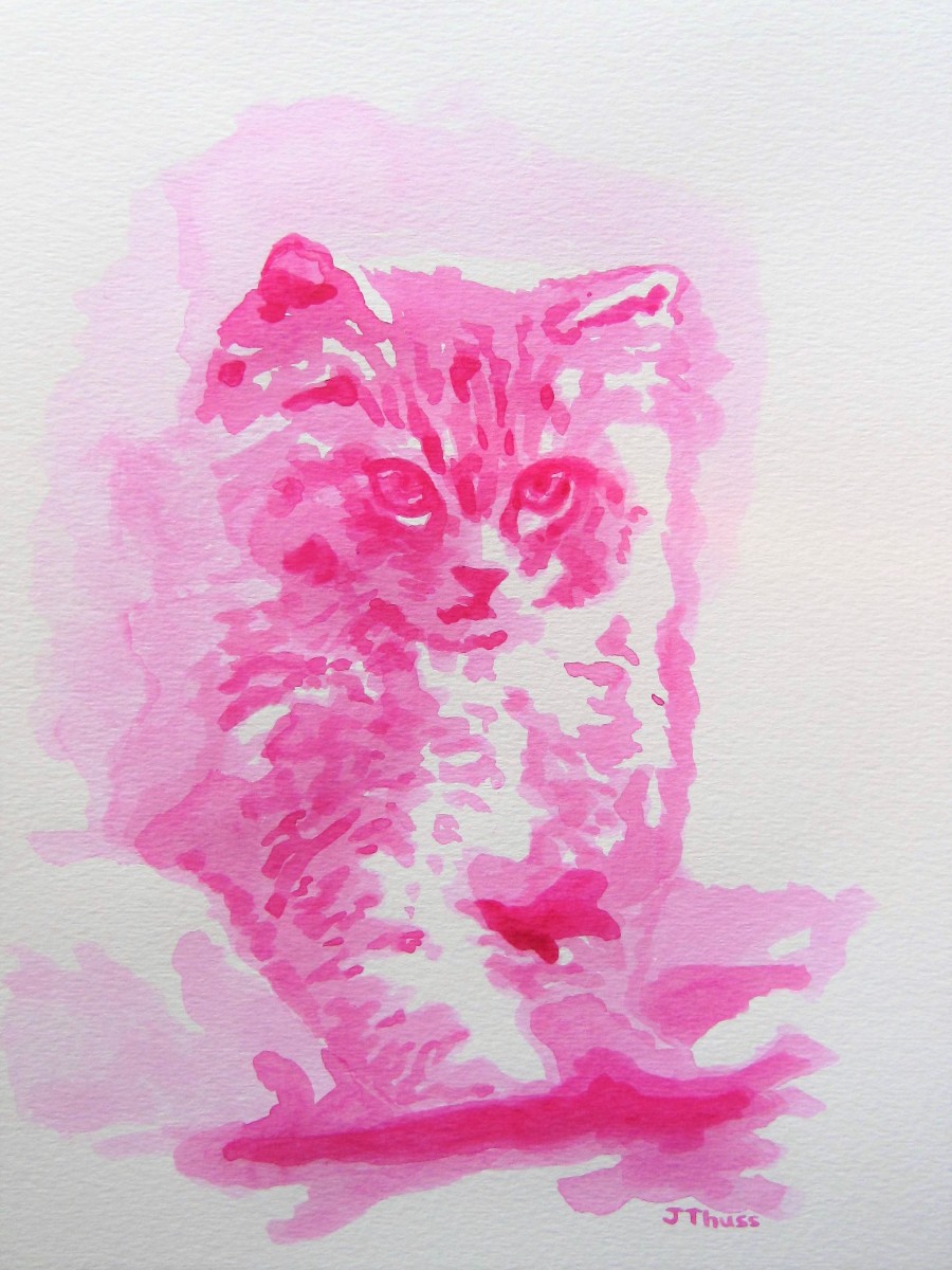 Pink Kitten by Jane Thuss 