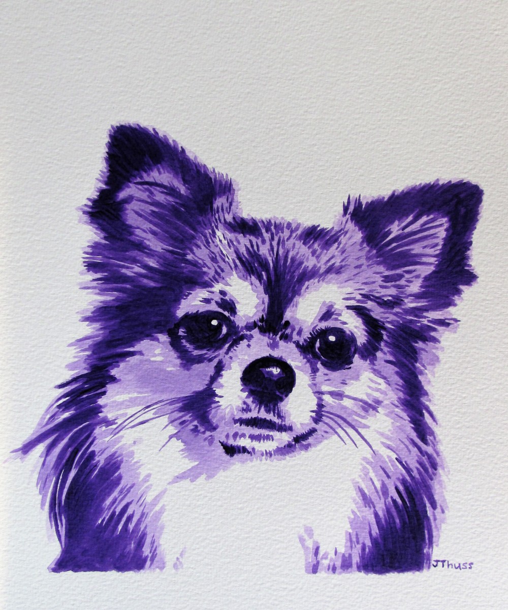 Purple Chihuahua by Jane Thuss by Jane Thuss 