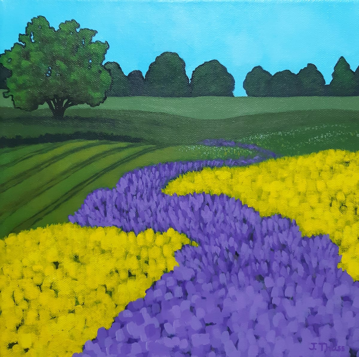Purple Trail by Jane Thuss  Image: A purple trail of flowers winds its way through farm fields of green and yellow.
