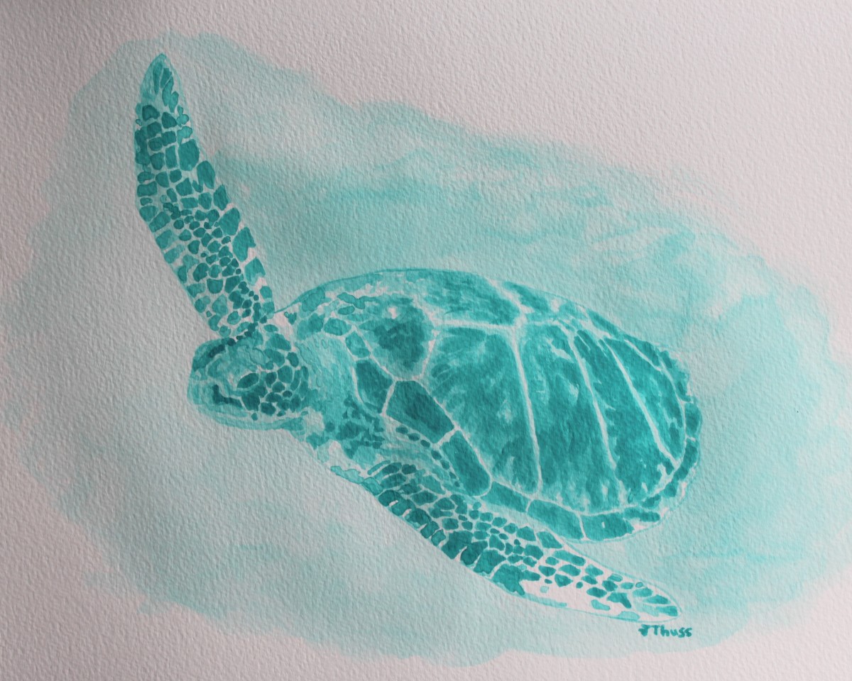 Sea Turtle by Jane Thuss 