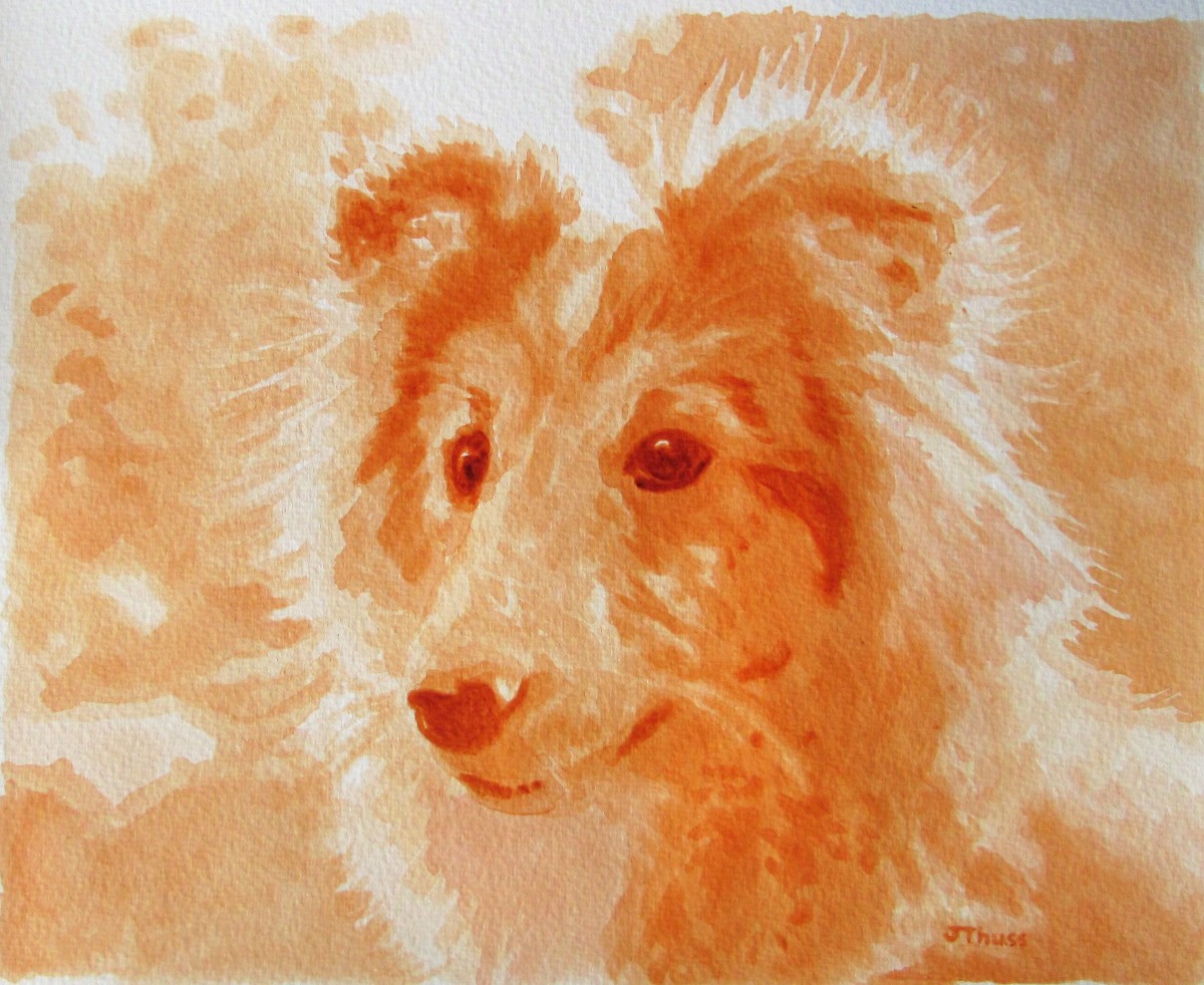 Sheltie by Jane Thuss by Jane Thuss 