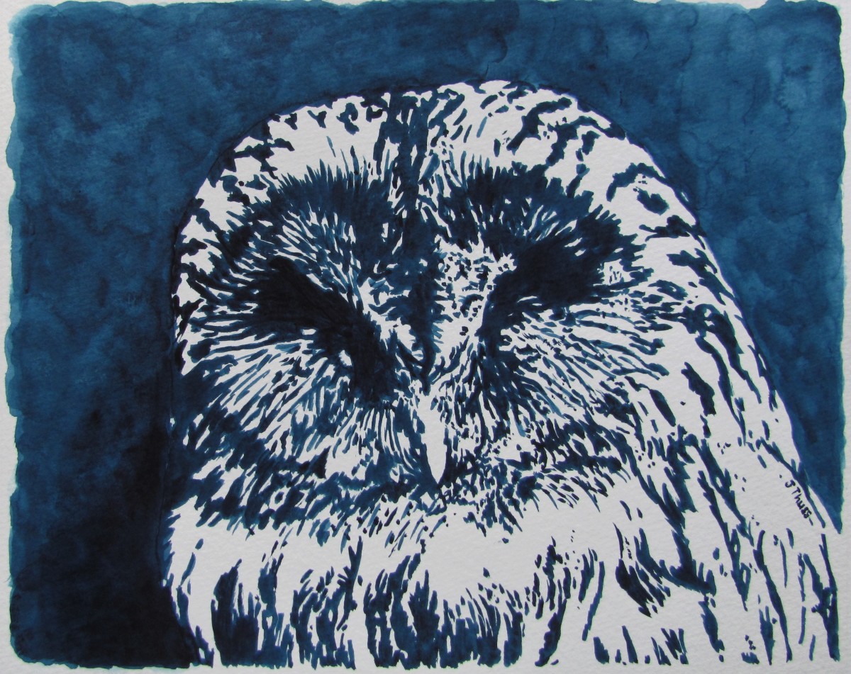 Sleepy Owl by Jane Thuss 